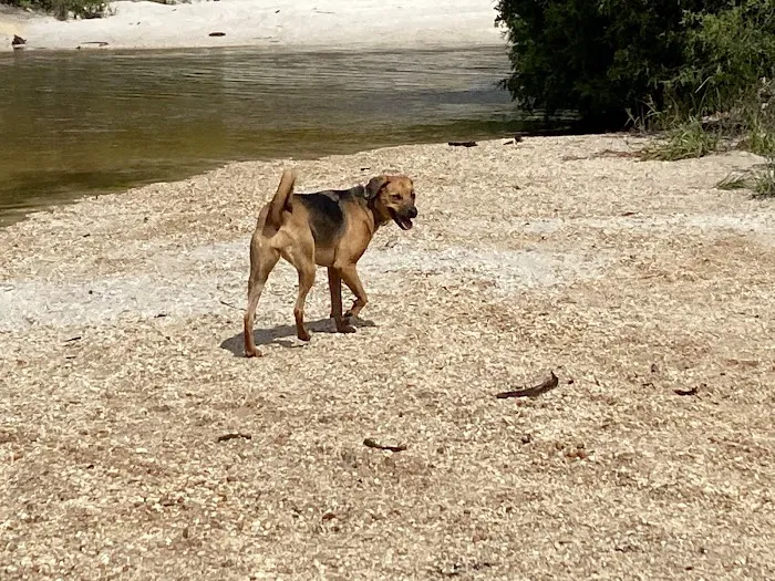 Creek Adventures Campground 7