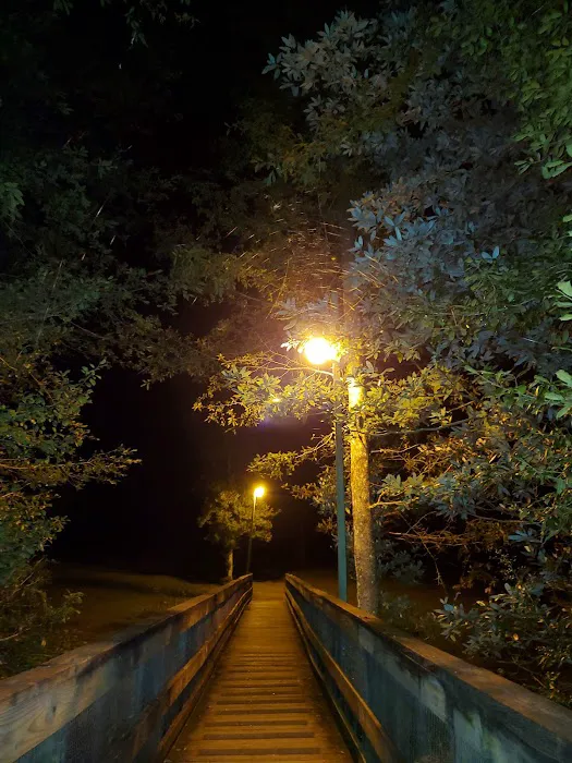 Bluff Springs Campground 5