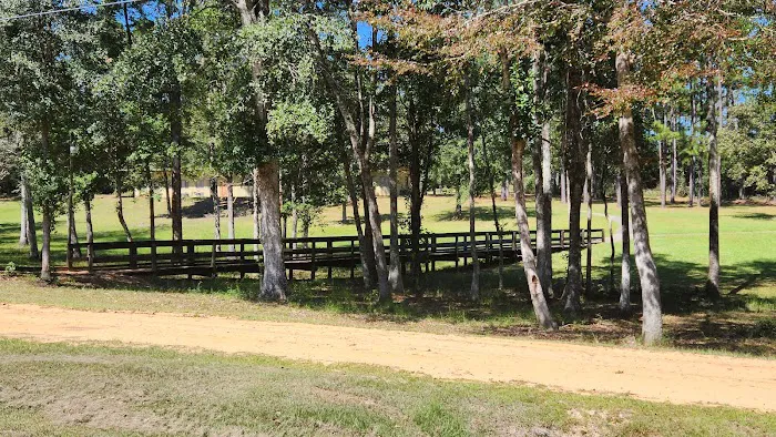 Bluff Springs Campground 8