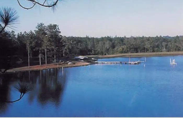 Bluff Springs Campground 6