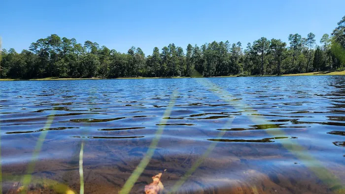 Bluff Springs Campground 2