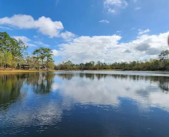 Bluff Springs Campground