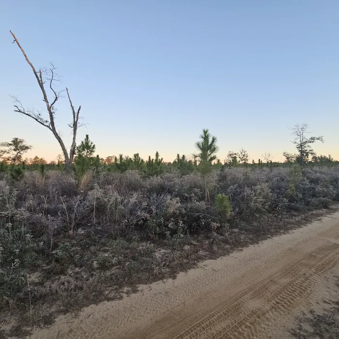 Kepner Campground - Eglin 3