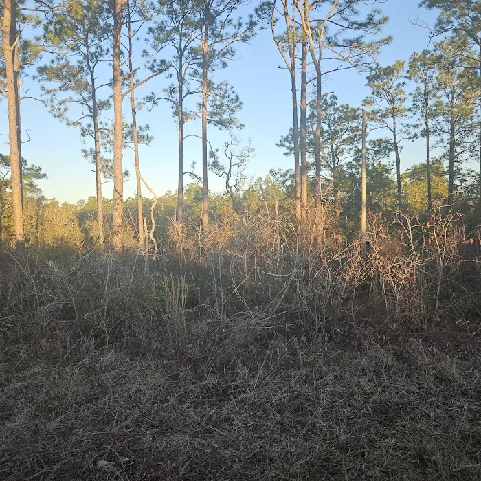 Kepner Campground - Eglin 4