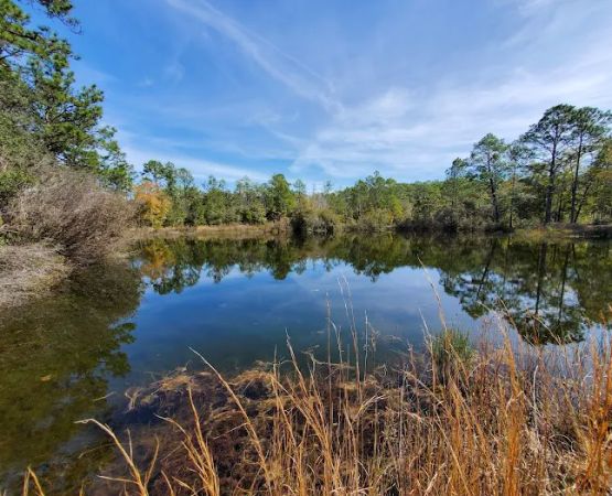 Eglin/FNST Jr Walton Pond