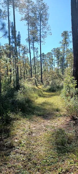 Karick Lake South Campground 0