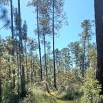 Karick Lake South Campground