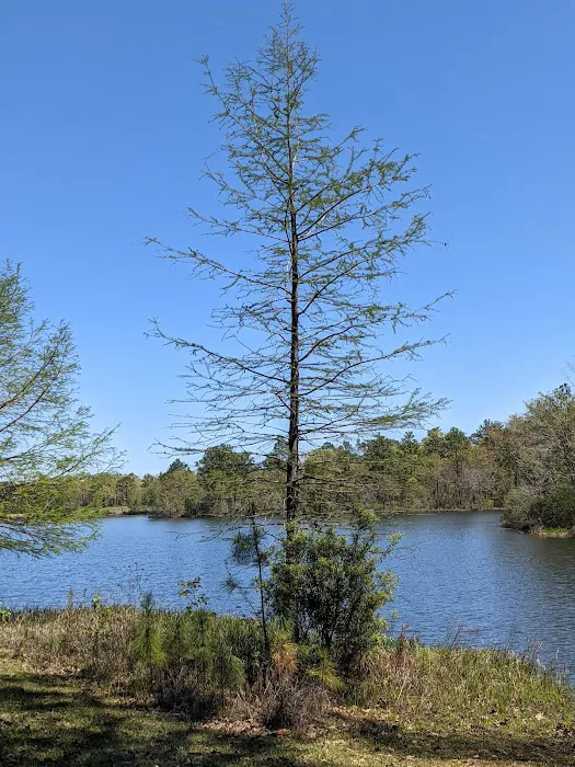 Hurricane Lake - Primative Camping 8