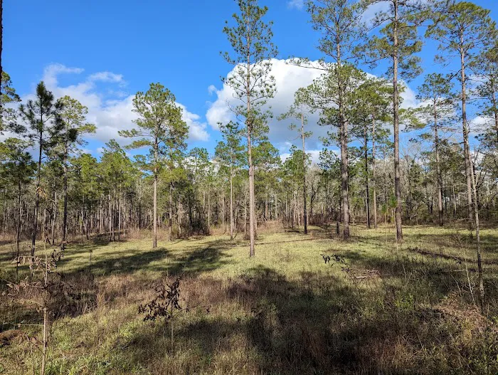 North Hurricane Lake Recreation Area 4