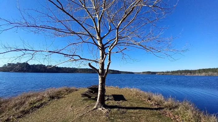 North Hurricane Lake Recreation Area 6