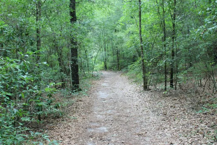 Camp Okaloosa 0
