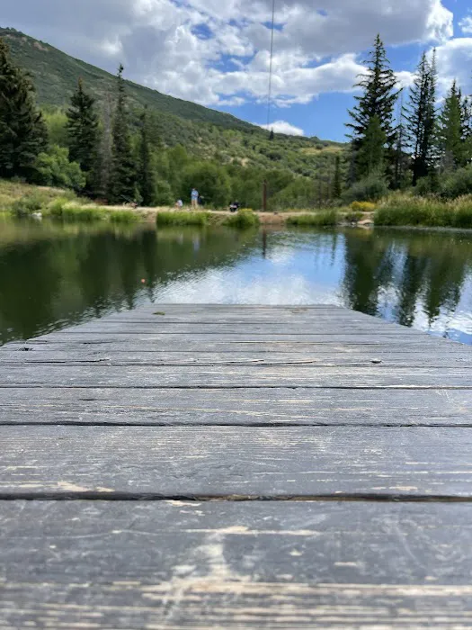 Brighton Meadows Recreation Camp 6