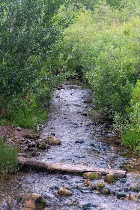 Affleck Park 1