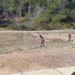 Murray South Mountain Camp/Friendship Meadows