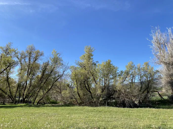 Camp Zarahemla 0