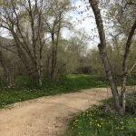 Wallsburg Recreation Camp