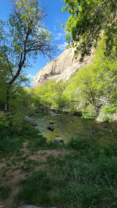 Jones Hole Campground 1