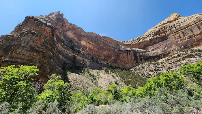 Jones Hole Campground 9
