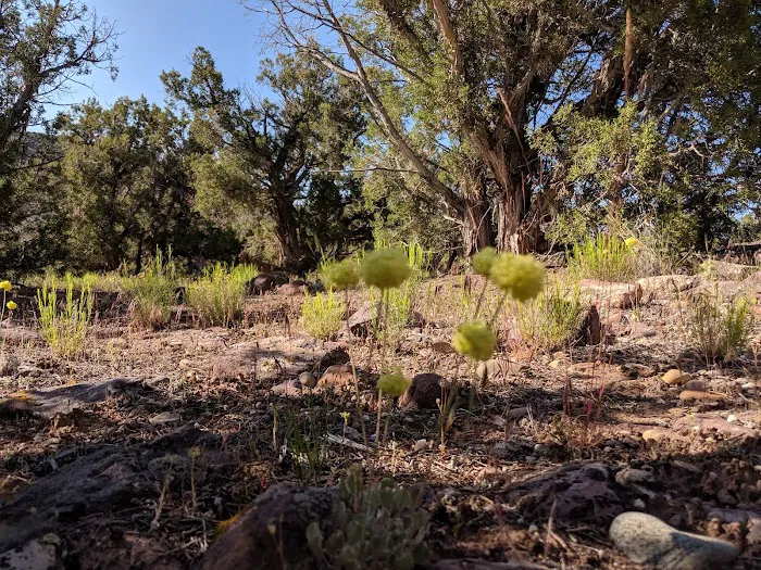 Gates Of Lodore Campground 0
