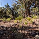 Gates Of Lodore Campground