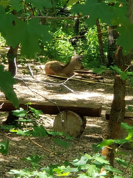 Camp Esther 3
