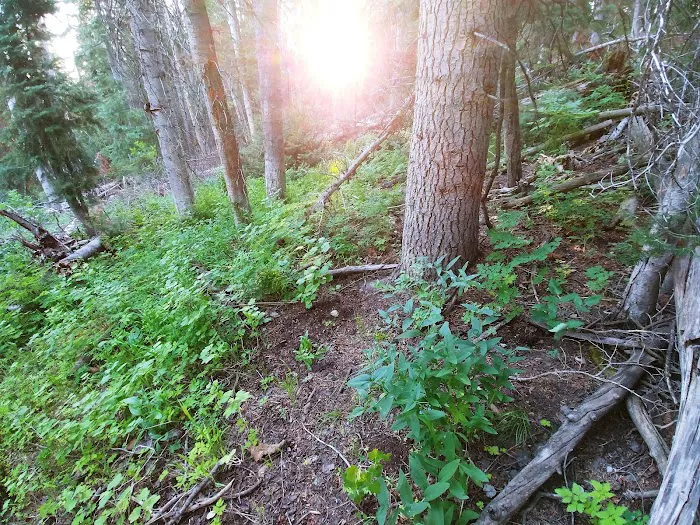 Camp Sariah 9