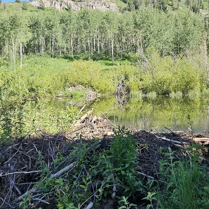Camp Sariah 5
