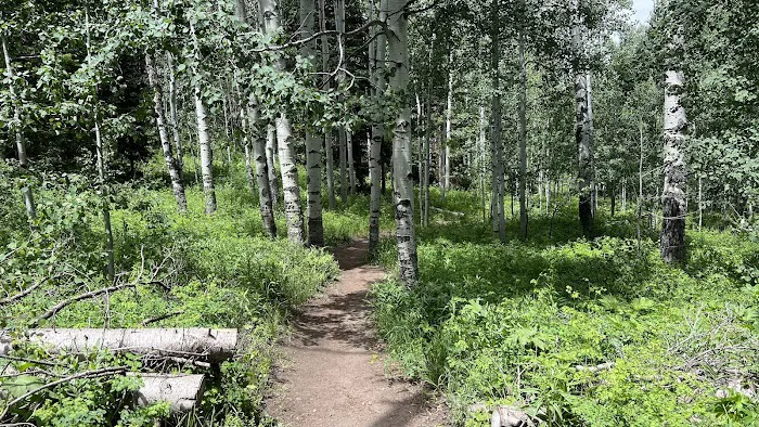 Camp Bertha Stone Reeder 7