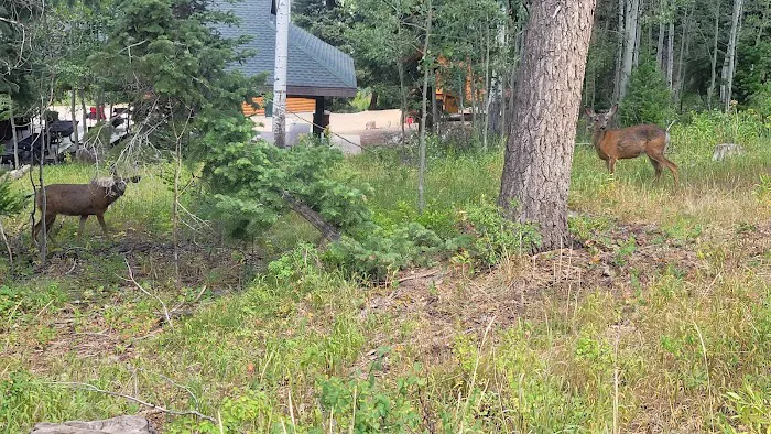 Camp Bertha Stone Reeder 3