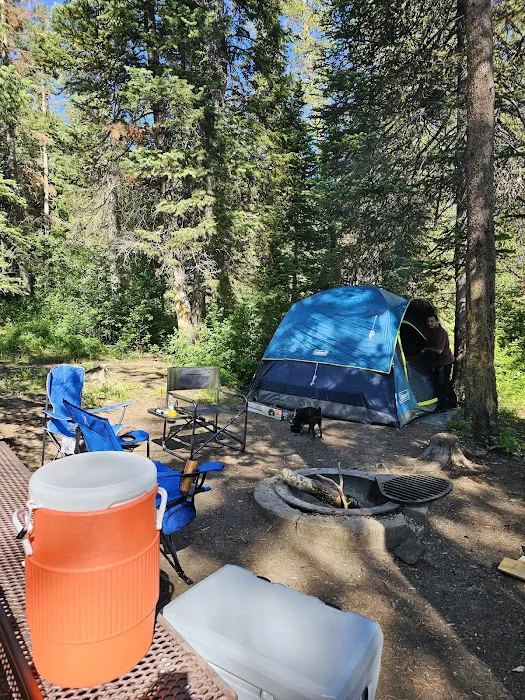 Shingle Creek ATV Campground 9