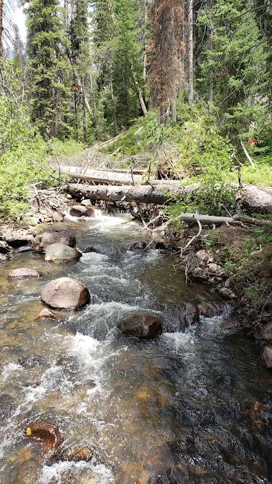Shingle Creek ATV Campground 6