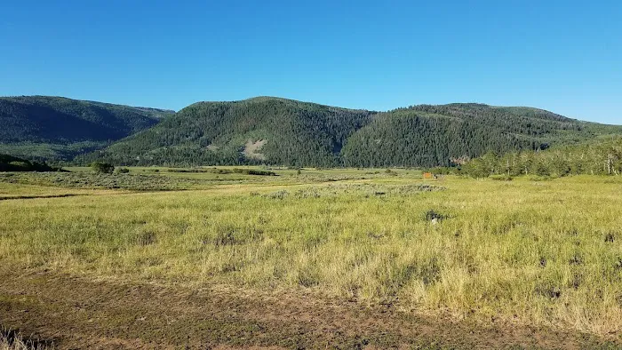 Cedar Hollow 4