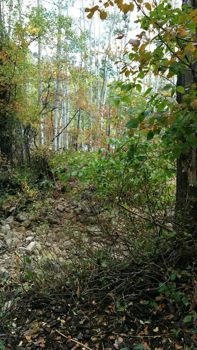 YMCA Camp Roger 1