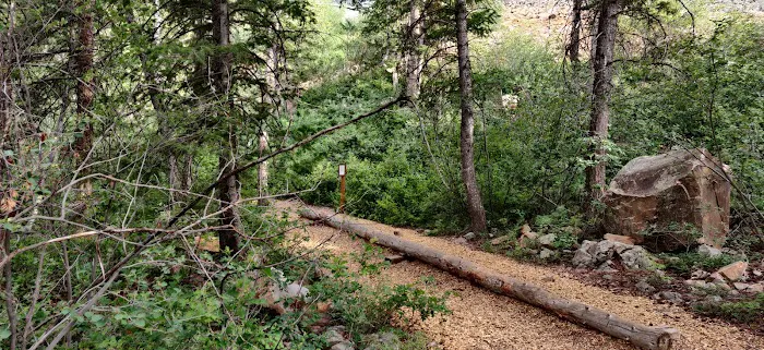Oakcrest Camp 5