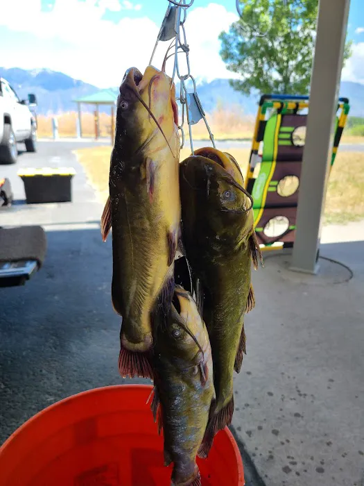 Utah Lake State Park Group Campground 8