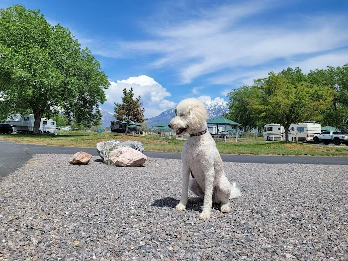 Lake Shore Campground 2