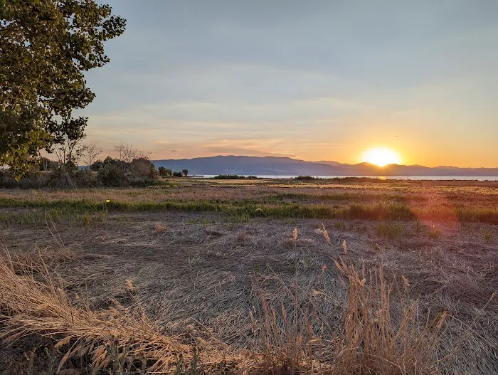 Lake Shore Campground 7