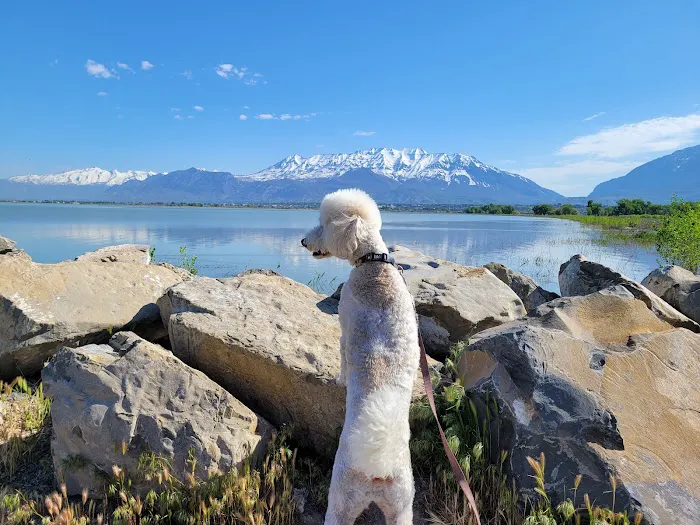 Lake Shore Campground 8