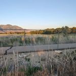 Lake Shore Campground