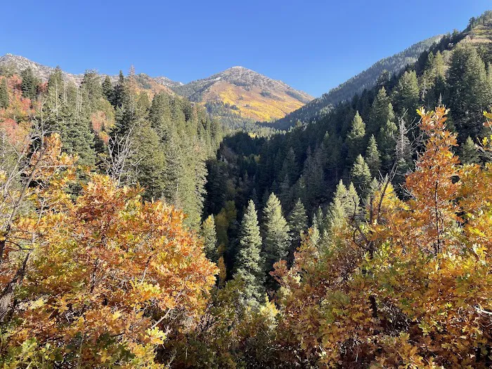 Rock Canyon Campground 3