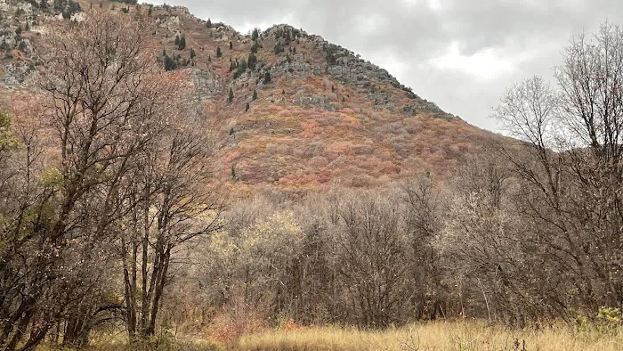 Rock Canyon Campground 9
