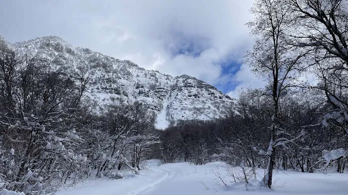 Rock Canyon Campground 8