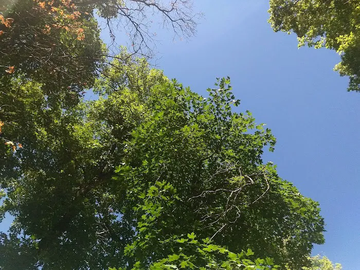 Whiting Campground 7