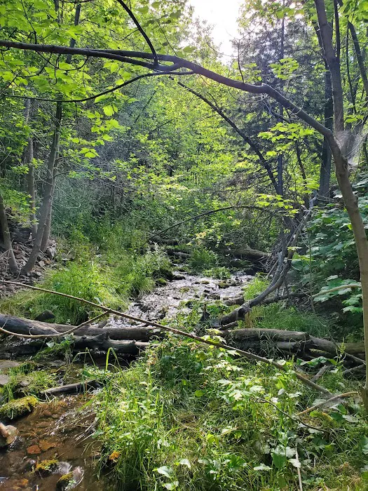 Whiting Campground 5