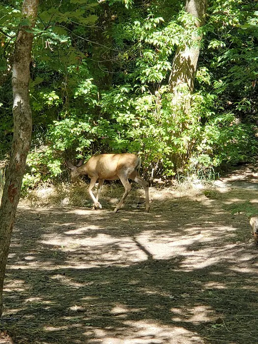 Whiting Campground 1