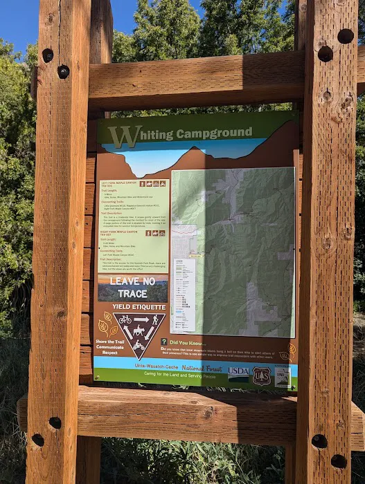 Whiting Campground 6