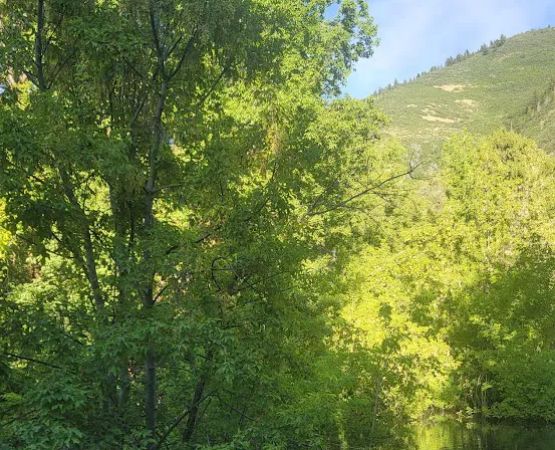 Whiting Campground