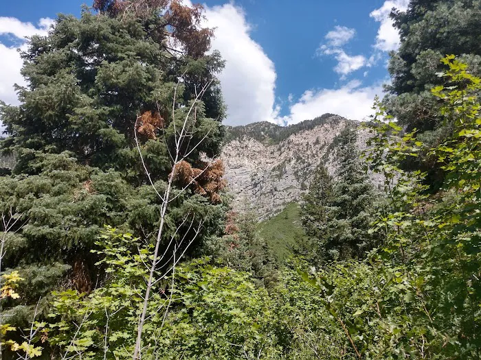 Hope Campground 9