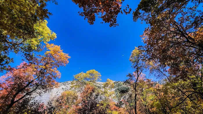 Hope Campground 5