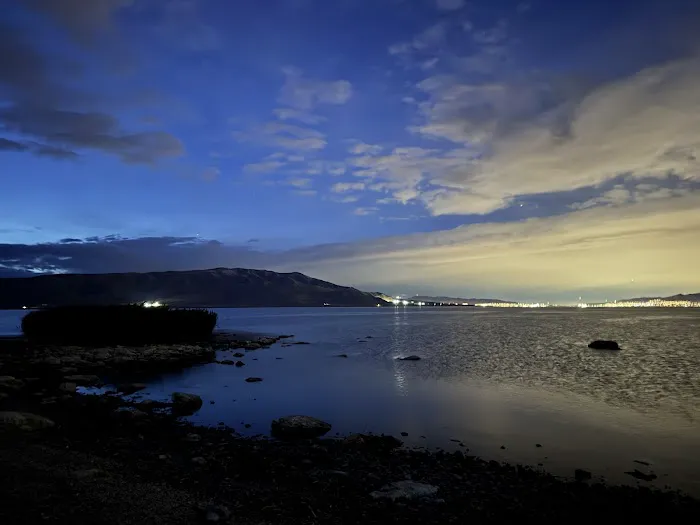 Bird Island 2
